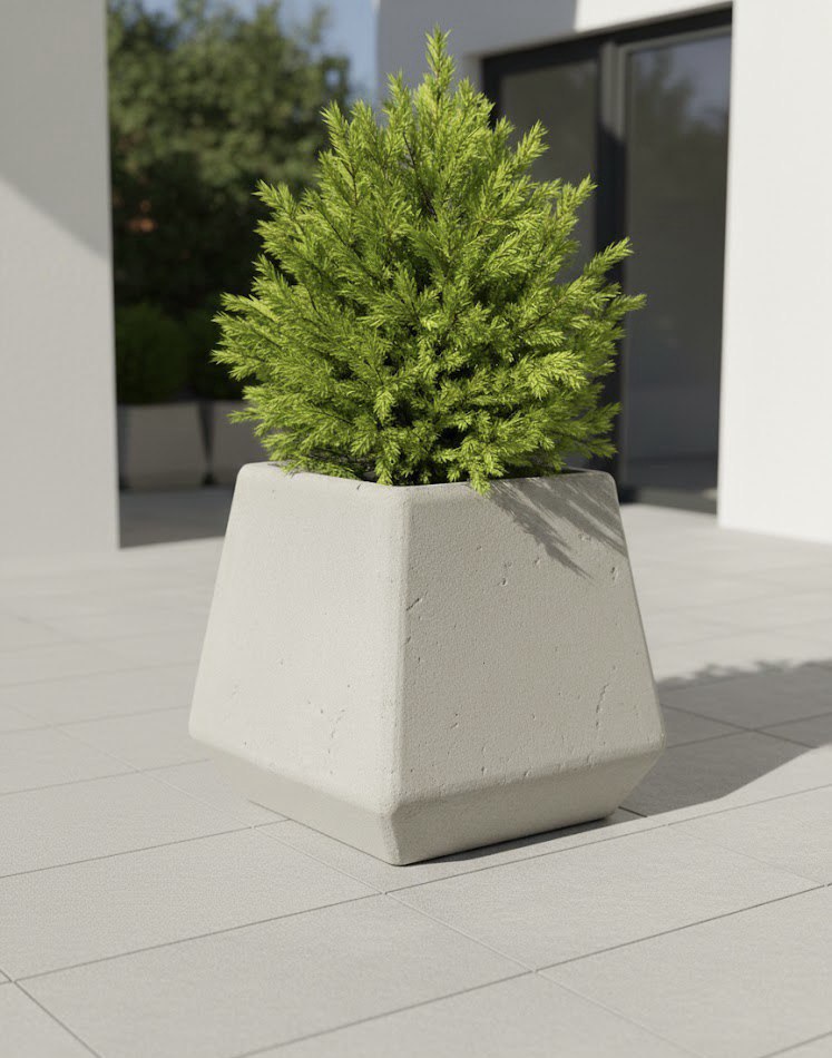 photo_2026-01-29_13-39-59