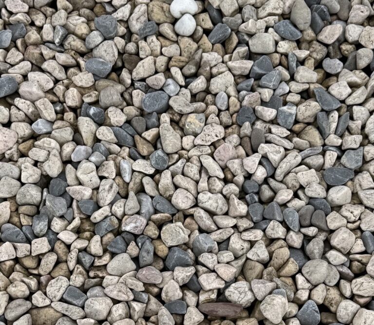 photo_2025-02-20_09-11-45