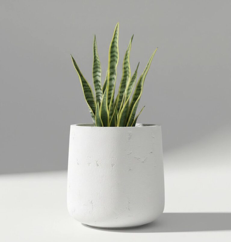 photo_2026-01-29_13-11-04