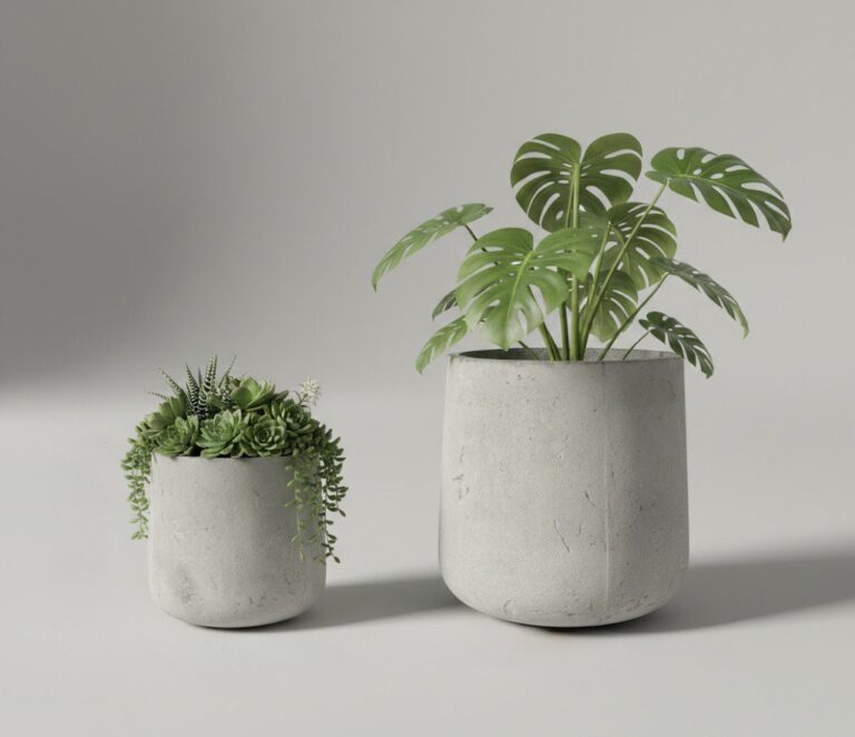 photo_2026-01-29_13-14-44