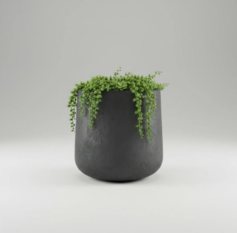 photo_2026-01-29_13-24-33