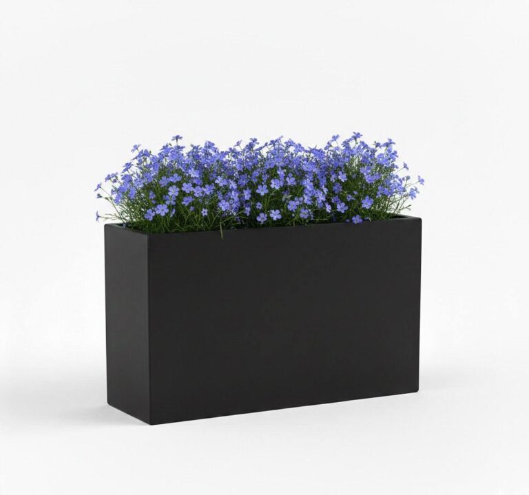 photo_2026-01-30_13-10-59